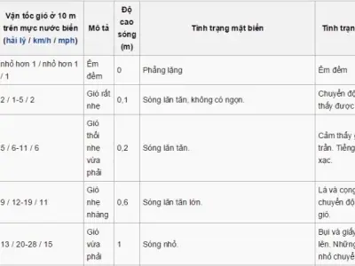 Thang sức gió Beaufort là gì? Hiểu đúng về cấp độ gió
