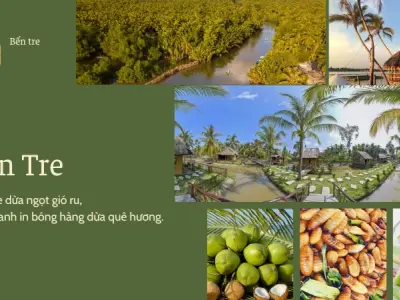 Cẩm nang du lịch Bến Tre- Khí hậu, Mùa đẹp & Lời khuyên A-Z