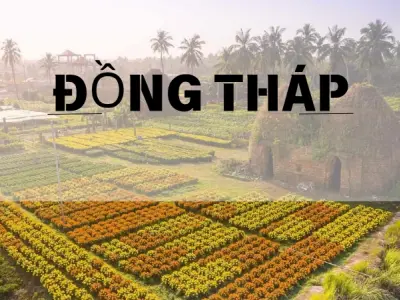 Cẩm nang du lịch Đồng Tháp- Khí hậu, điểm đến & kinh nghiệm