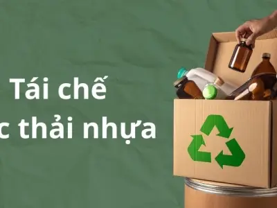 Tái chế rác thải nhựa giúp giảm ô nhiễm và bảo vệ đại dương