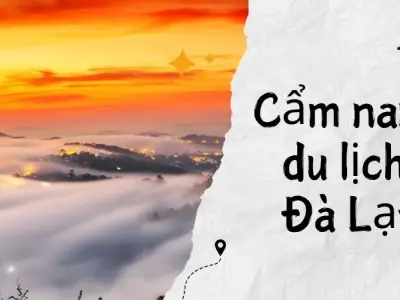 Cẩm nang du lịch Đà Lạt thời điểm vàng chụp ảnh săn mây