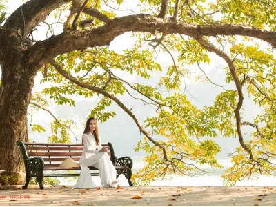 Tranh phong cảnh mùa thu mang vẻ đẹp thiên nhiên lãng mạn