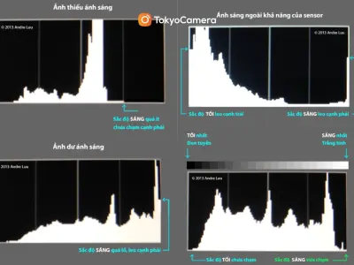 Biểu đồ Histogram là gì và cách tạo cực kỳ đơn giản dễ hiểu