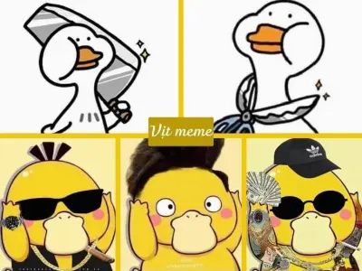 Cười té ghế với bộ ảnh vịt meme hài hước lưu ngay đi cmt dạo