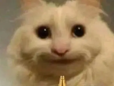 Cười té ghế với bộ sưu tập ảnh vẽ mèo meme siêu bựa giải trí cực mạnh