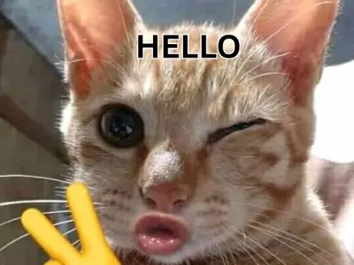 Cười xỉu với bộ ảnh hello meme hài hước nhất hệ mặt trời
