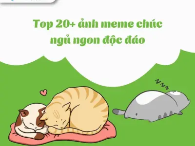 Cười xỉu với loạt ảnh meme chúc ngủ ngon bựa nhất quả đất dành cho hội cú đêm