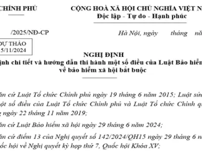Dự thảo nghị định hướng dẫn luật BHXH 2024 mới nhất