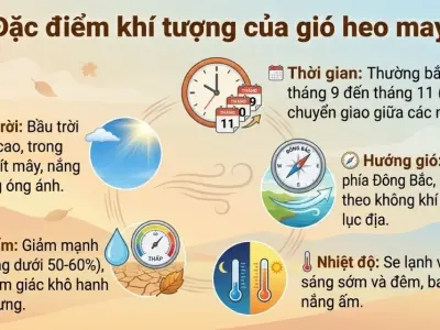 Gió heo may là gì và đặc điểm thời tiết vào mùa thu