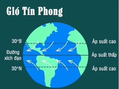 Gió tín phong là gì và những đặc điểm ảnh hưởng đến khí hậu