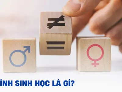 Giới tính là gì và cách phân biệt các khái niệm cơ bản liên quan