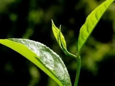 Giới trẻ là gì và vai trò quan trọng trong xã hội hiện đại