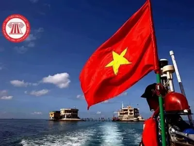 Hình lưỡi bò là gì và những thông tin quan trọng bạn cần biết