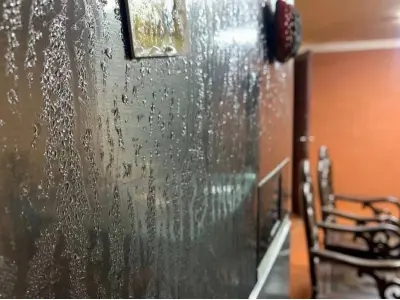 Khái niệm gió nồm là gì và nguyên nhân gây ra hiện tượng nồm ẩm