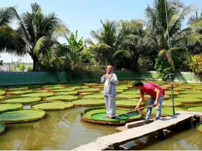 Kinh nghiệm chiêm bái chùa Lá Sen linh thiêng tại vùng đất Đồng Tháp