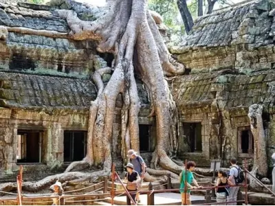Kinh nghiệm thăm quan chiêm bái chùa Ta Prohm an toàn và thành kính