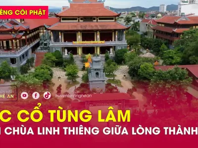 Kinh nghiệm thăm quan Tùng Lâm Diệc Tự linh thiêng giữa lòng thành phố Vinh