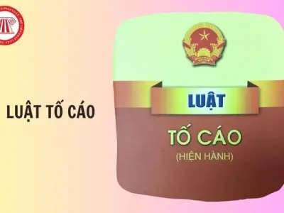 Nghị định 31/2019/NĐ-CP hướng dẫn Luật Tố cáo chi tiết