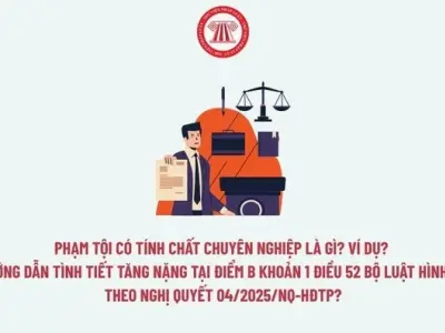 Nghị quyết hướng dẫn phạm tội có tính chất chuyên nghiệp là gì