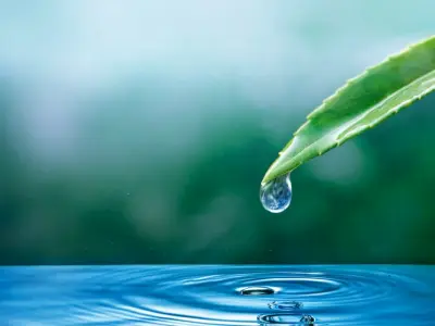 Nguồn nước sạch là gì và các tiêu chuẩn nhận biết cơ bản