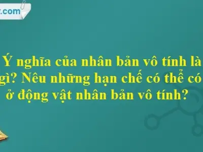 Nhân bản vô tính là gì và những kiến thức quan trọng bạn cần biết