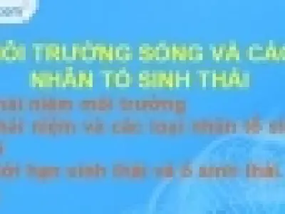 Nhân tố sinh thái là gì và các nhóm nhân tố sinh thái cơ bản