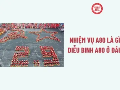 Nhiệm vụ a80 là gì và những thông tin quan trọng bạn cần biết