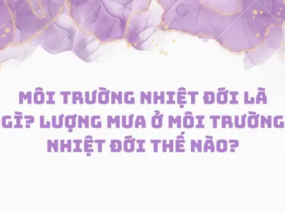 Nhiệt đới là gì và những đặc trưng cơ bản bạn cần nắm rõ