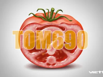 Tìm hiểu chi tiết gói cước tom690 là gì và các thông tin bạn cần biết