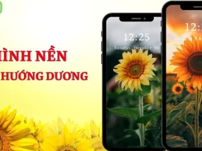 Tổng hợp 20 hình nền hoa màu xanh dương đẹp nhất năm 2026