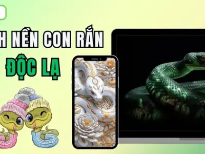 Tổng hợp bộ hình nền con rắn sắc nét và ấn tượng nhất