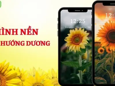 Tổng hợp bộ hình nền hoa hướng dương rực rỡ và tràn đầy sức sống