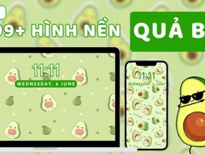 Tổng hợp bộ hình nền quả bơ siêu dễ thương dành cho điện thoại năm 2026