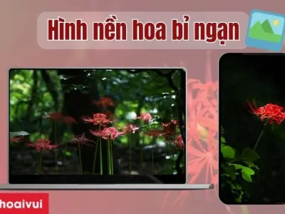 Tổng hợp hình nền hoa bỉ ngạn đẹp ma mị và cuốn hút nhất