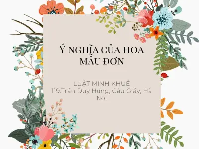 Tổng hợp hình nền hoa mẫu đơn ý nghĩa sâu sắc thu hút tình duyên