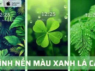 Tổng hợp hình nền màu xanh hy vọng cực đẹp mang lại cảm giác bình yên