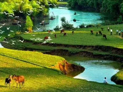 Tổng hợp hình nền thiên nhiên tuyệt đẹp chất lượng 4k sắc nét