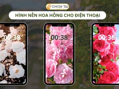 Tổng hợp những mẫu hình nền hoa hồng tuyệt đẹp dành cho điện thoại và máy tính