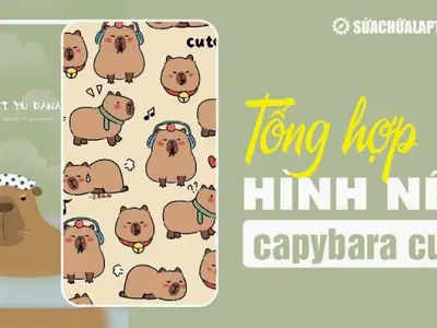 Tuyển tập 50 mẫu hình nền capybara cực kỳ dễ thương và sắc nét