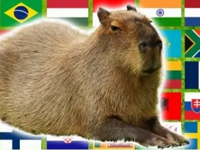 Tuyển tập ảnh capybara meme vô tri hài hước nhất cõi mạng