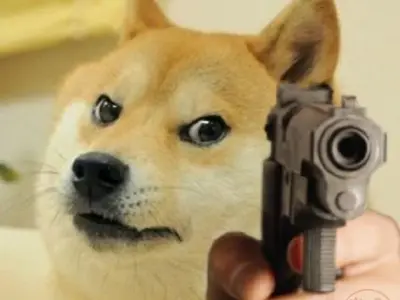Tuyển tập ảnh chó shiba meme tấu hài siêu cấp vô địch khiến bạn cười lăn