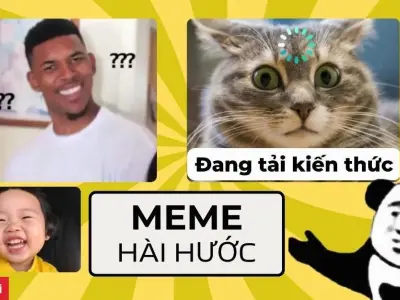 Tuyển tập ảnh hình nền meme tấu hài chấn động mạng xã hội