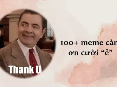 Tuyển tập ảnh meme cảm ơn mặn mòi giúp bạn tấu hài cực mạnh