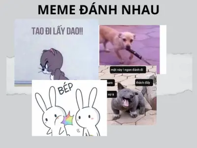 Tuyển tập ảnh meme đánh nhau tấu hài cực mạnh giải cứu ngày chán nản