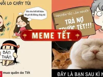 Tuyển tập ảnh meme tết 2026 siêu bựa giúp bạn cười rớt hàm mùa xuân này