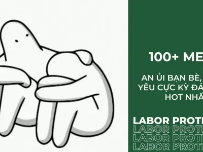 Tuyển tập bộ ảnh meme an ủi hài hước giúp xua tan mọi nỗi buồn chán