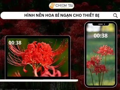 Tuyển tập hình nền hoa bỉ ngạn đen trắng nghệ thuật đẹp nhất