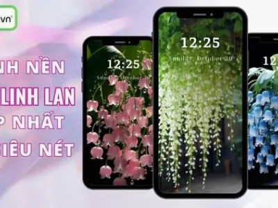 Tuyển tập hình nền hoa linh lan mang lại cảm giác bình yên và thuần khiết
