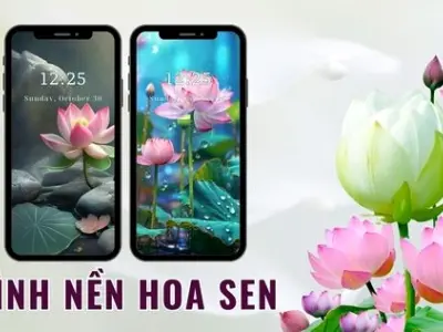 Tuyển tập hình nền hoa sen đẹp tinh tế và thanh tịnh nhất năm 2026