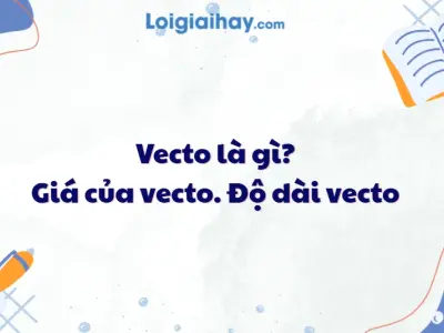 Vecto là gì và các kiến thức trọng tâm cần nắm vững